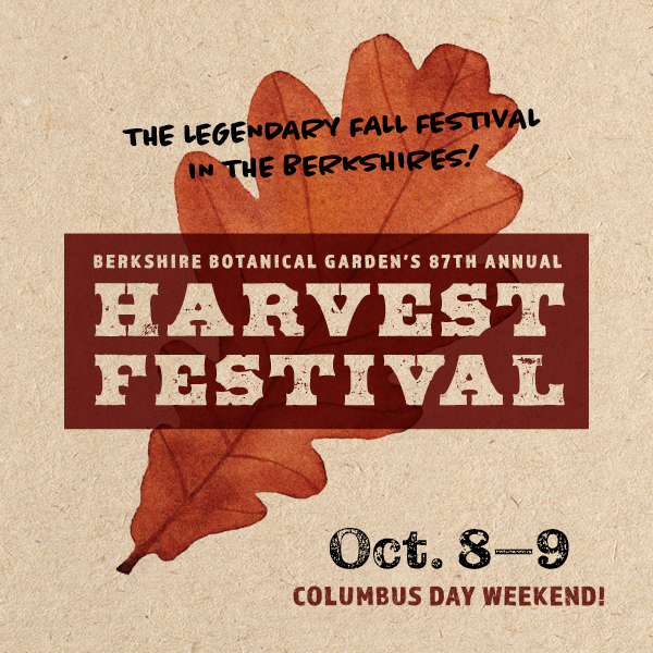 Read more about the article Harvest Festival