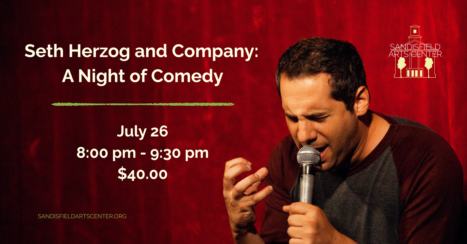 Read more about the article Seth Herzog and Company: A Night of Comedy