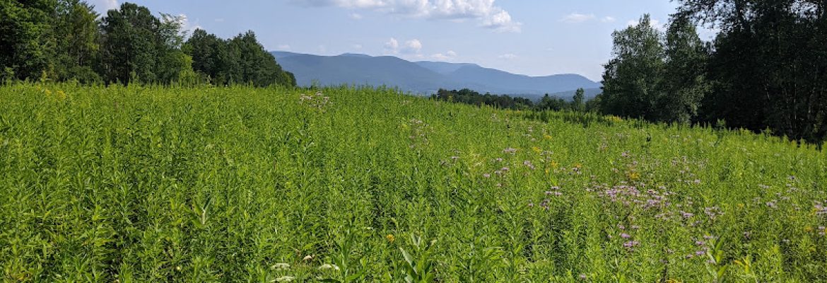 Mountain Meadow Preserve