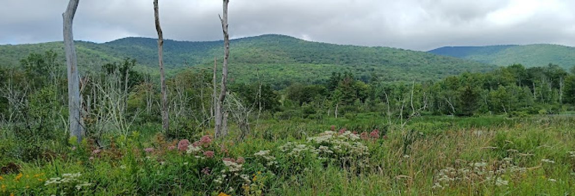 Field Farm Reservation