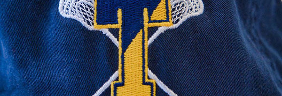 Elegant Stitches