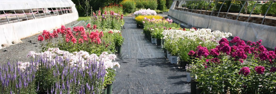 Zema’s Nursery Inc