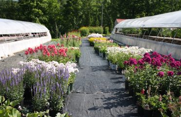 Zema’s Nursery Inc