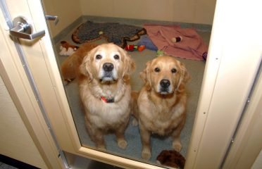 Shaker Hill Pet Resort