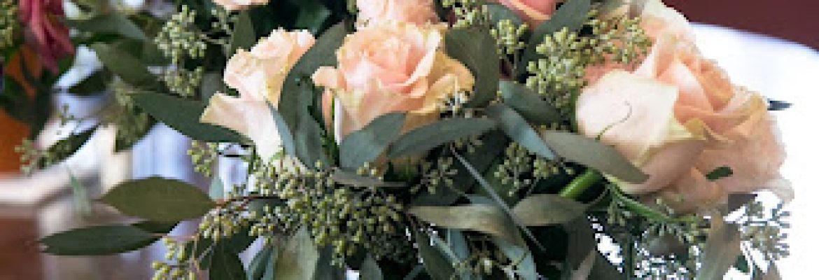 Mount Williams Greenhouses, inc.
