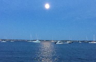 Tranquil Moments