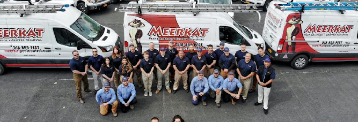 Meerkat Pest Control