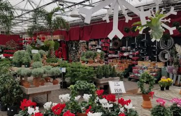 Ward’s Nursery & Garden Center