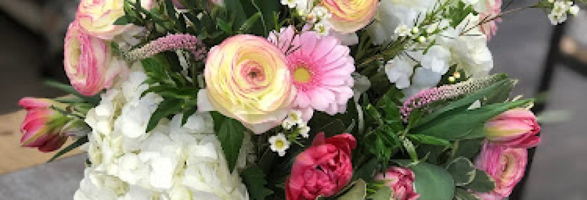 Bella Flora