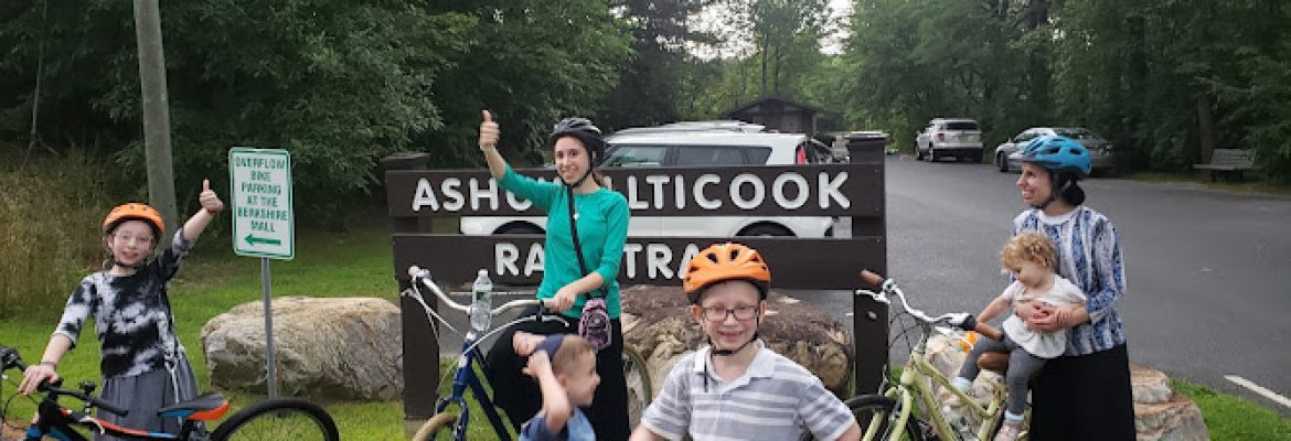 Village Bike Rentals