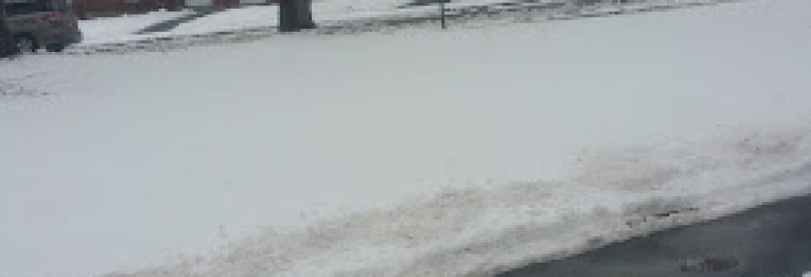 Brattlebrook Apartments