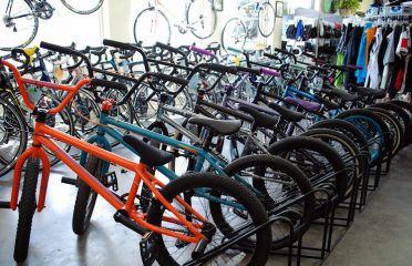 Berkshire Bike & Board