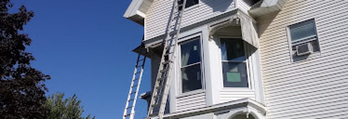 Action Pest Management