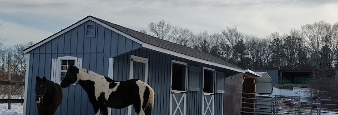 Sheds-N-Stuff