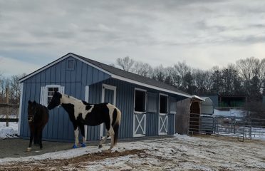 Sheds-N-Stuff