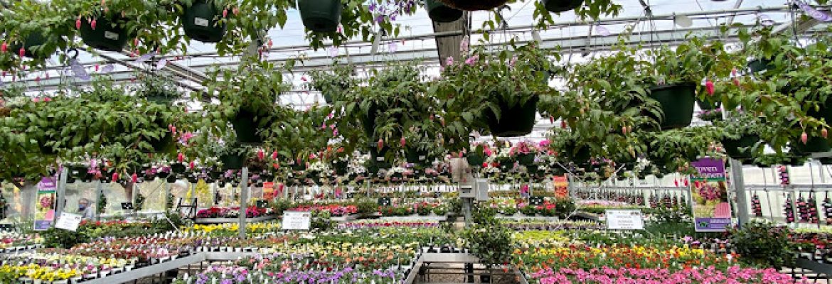 Whitney’s Farm Market & Garden Center