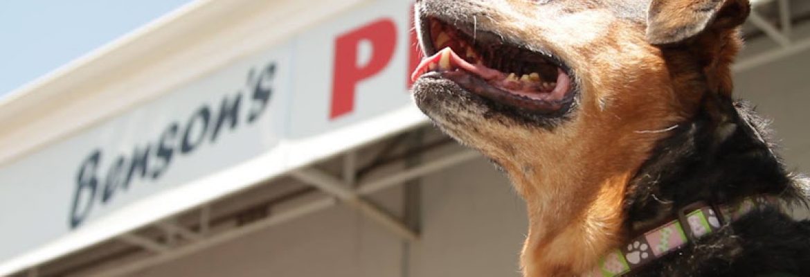 Benson’s Pet Center