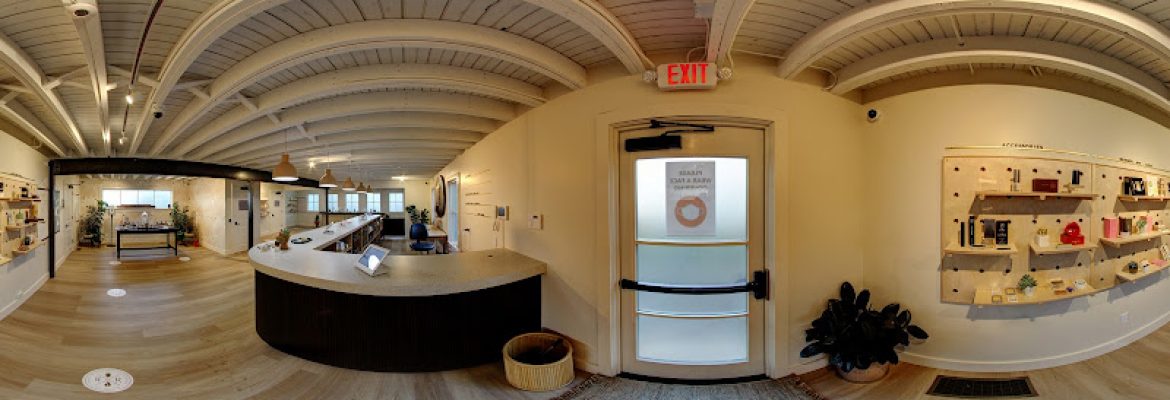 Rebelle | Great Barrington Cannabis Dispensary