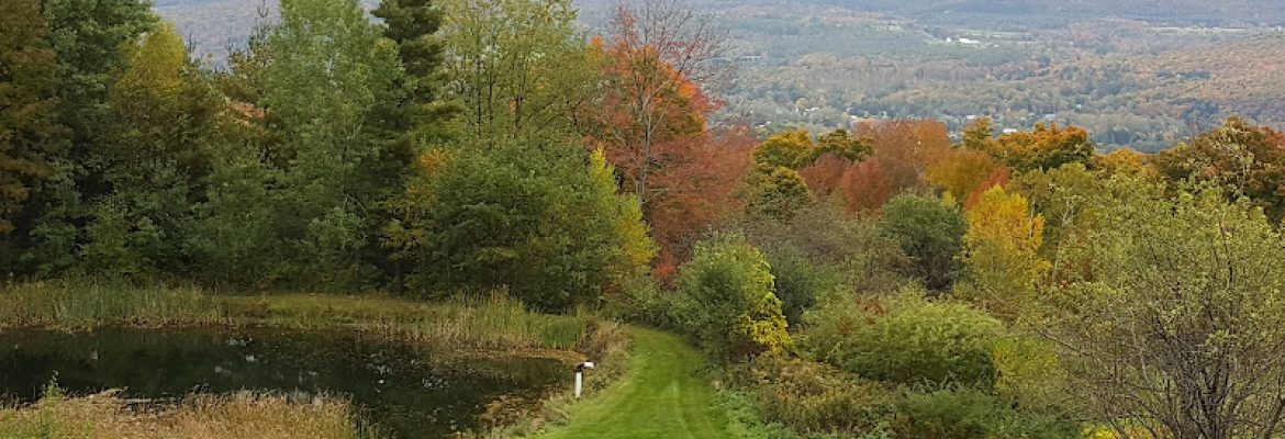 Cheshire Rod & Gun Club