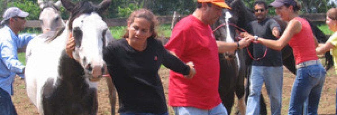 Berkshire HorseWorks