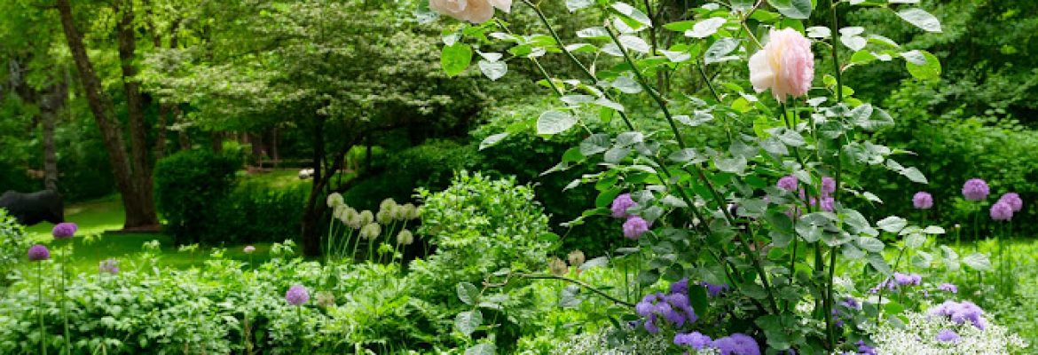 Berkshire Greenscapes