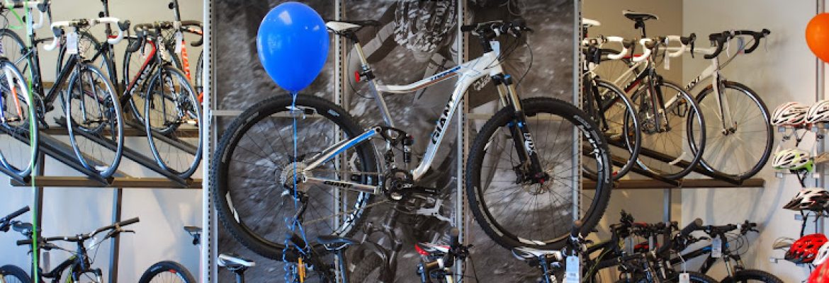 Berkshire Bike and Board in Pittsfield