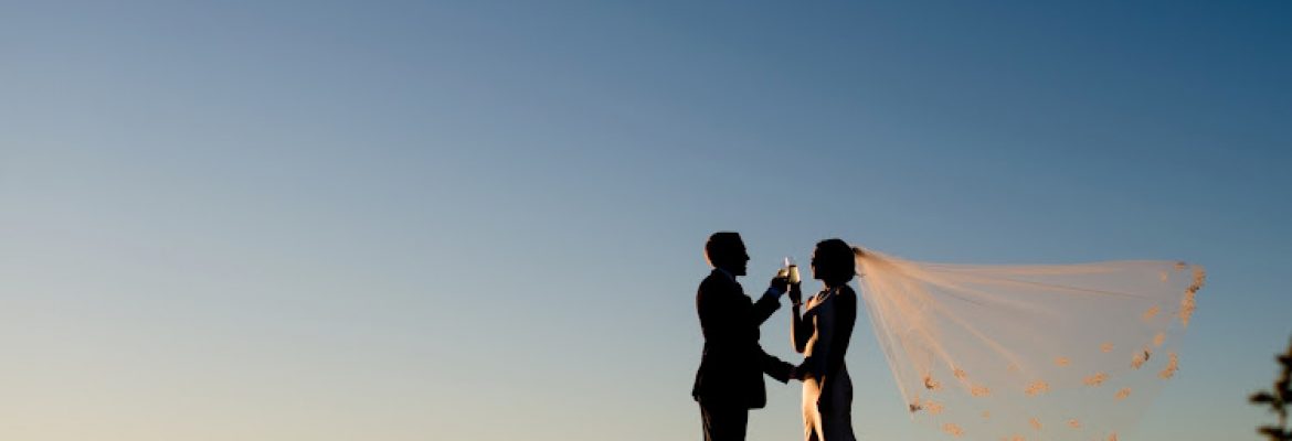 Tricia McCormack Photography