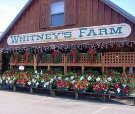 Whitney’s Farm Market & Garden Center