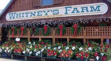Whitney’s Farm Market & Garden Center
