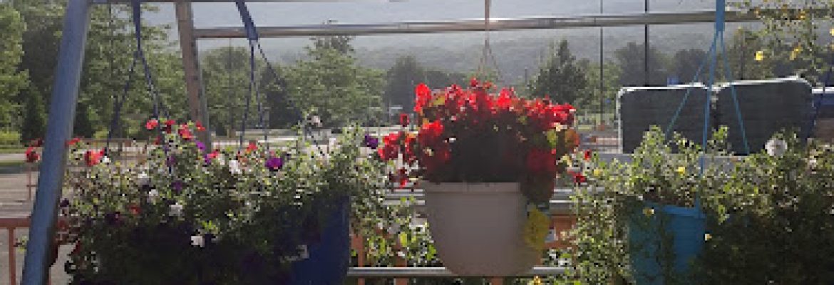 Gift Shops In The Berkshires, Florists In The Berkshires, Gifts In The Berkshires, Flowers In The Berkshires, Gift Baskets In The Berkshires, Flower Shops In The Berkshires