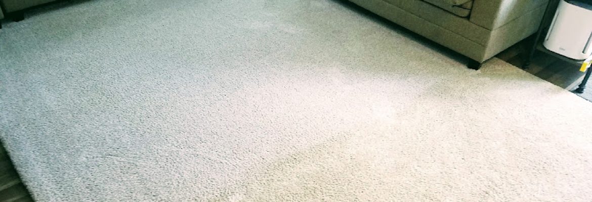 Carpet Dealers In The Berkshires, Flooring Dealers In The Berkshires, Carpet Installers In The Berkshires, Flooring Installers In The Berkshires, Carpeting In The Berkshires, In The Berkshires, Carpeting In Pittsfield MA