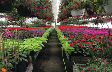 Wahconah St Greenhouses