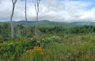 Field Farm Reservation