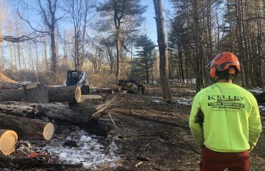 Kelley Brothers Tree Service