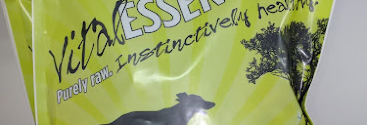 BensDotter’s Pet
