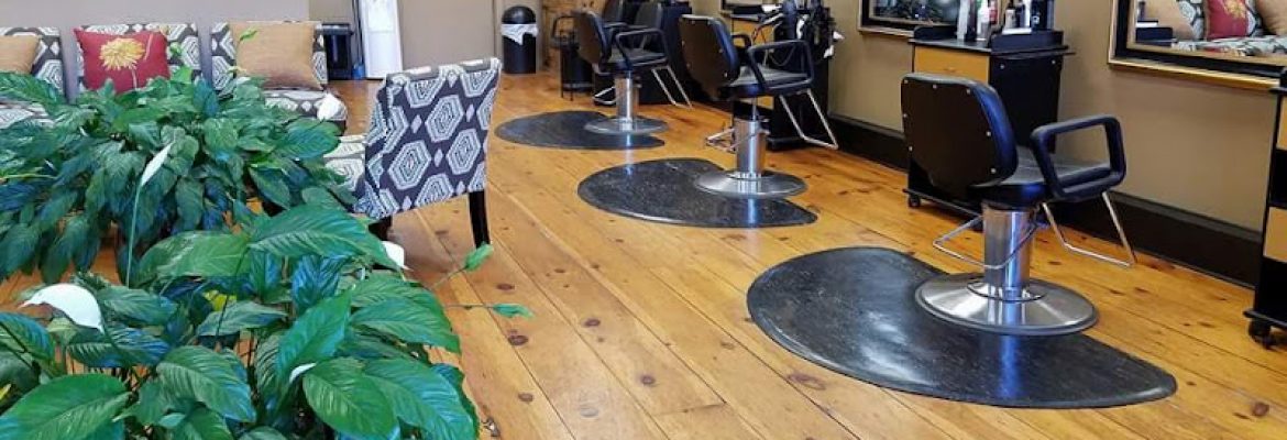 David Gavin Salon