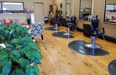 David Gavin Salon