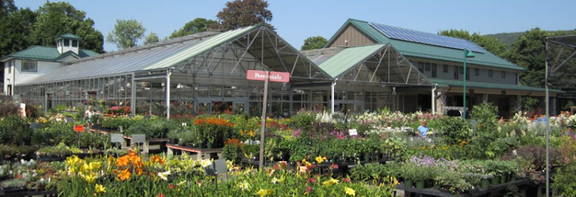 Ward’s Nursery & Garden Center