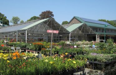 Ward’s Nursery & Garden Center