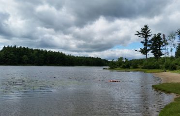 Sandisfield State Forest