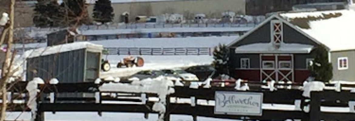 Bellwether Stables