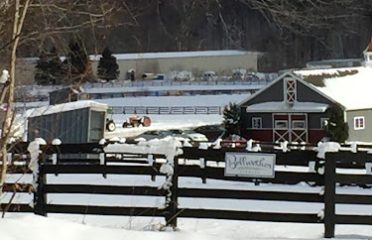 Bellwether Stables