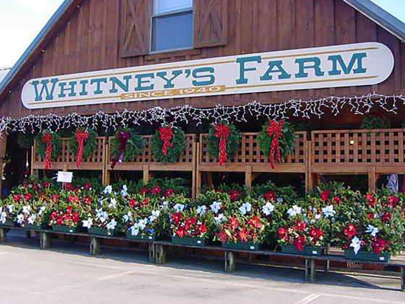 Whitney’s Farm Market & Garden Center